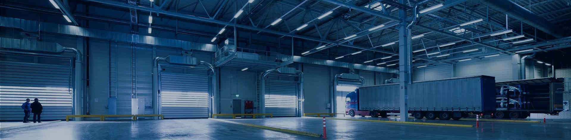 quality Vegetable & Fruit Processing Equipment Service