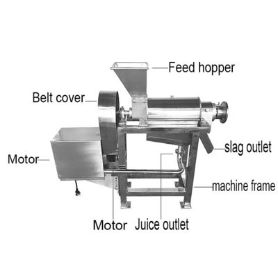 Vegetable and fruit juicer Carrot juicer
